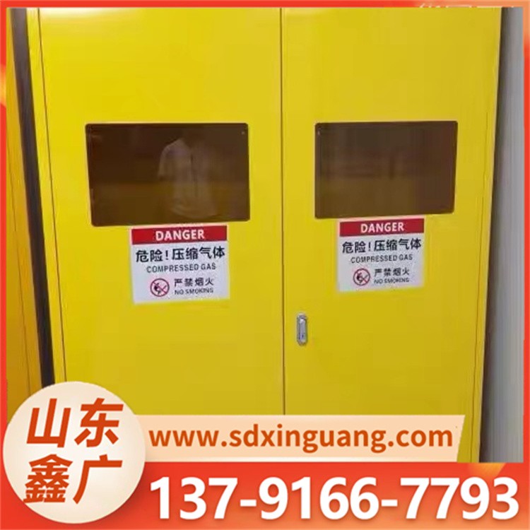 气瓶柜 危险气体废气处理柜 防火防爆 气柜通过SEMI2认证 质量保障