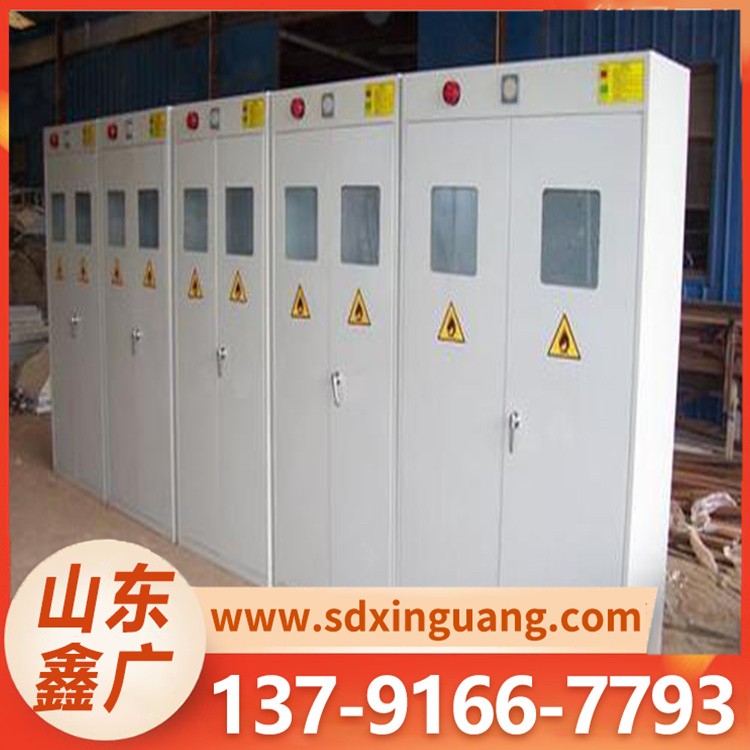 气瓶柜  泄漏报警排风钢瓶 储存柜 实验室安全柜
