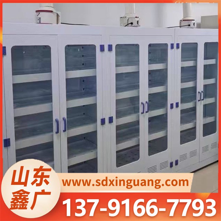 pp器皿柜 钢制实验室药品柜 化学试剂柜 源头厂家