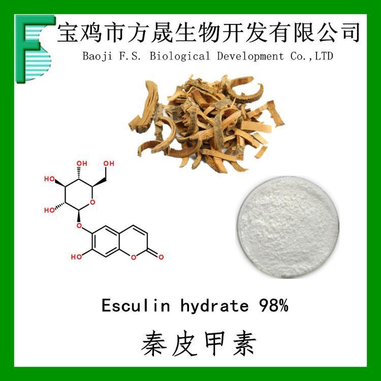 秦皮甲素98% Esculin 秦皮甲素提取物 531-75-9 马栗树皮甙