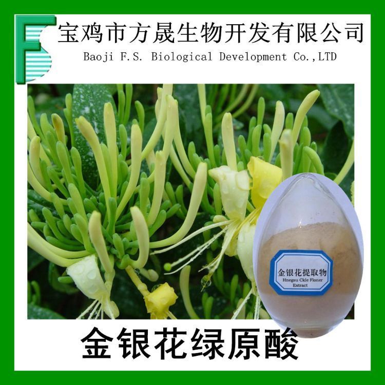 金银花提取物 10-1忍冬藤提取物 绿原酸-木犀草苷