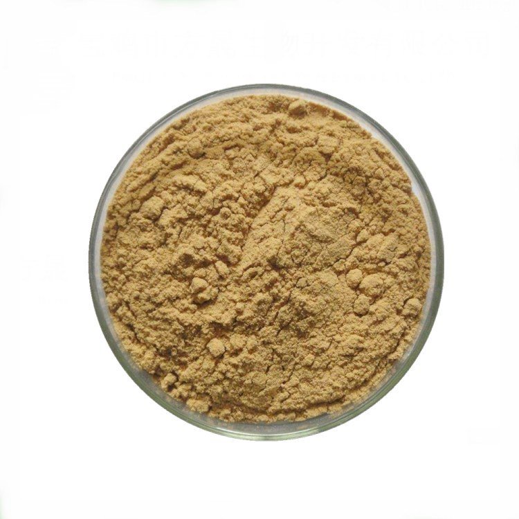 科罗索酸20% 大花紫薇提取物 4547-24-4 Corosolic acid