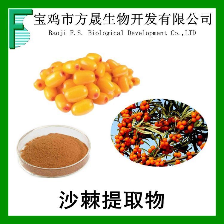 沙棘黄酮30% 天然沙棘提取物 Seabuckthorn flavone