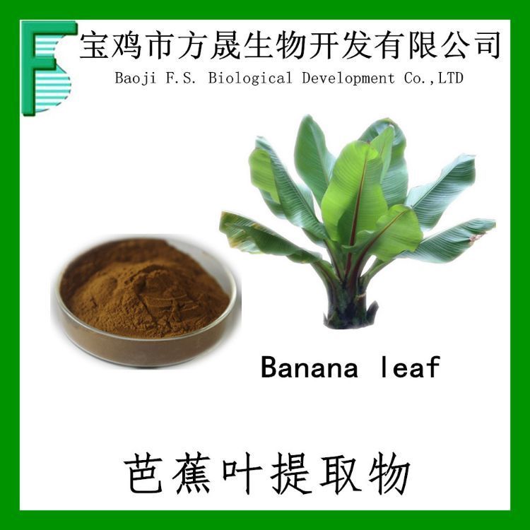 芭蕉叶提取物 芭蕉叶粉10-1 Banana Leaf 可免费商检