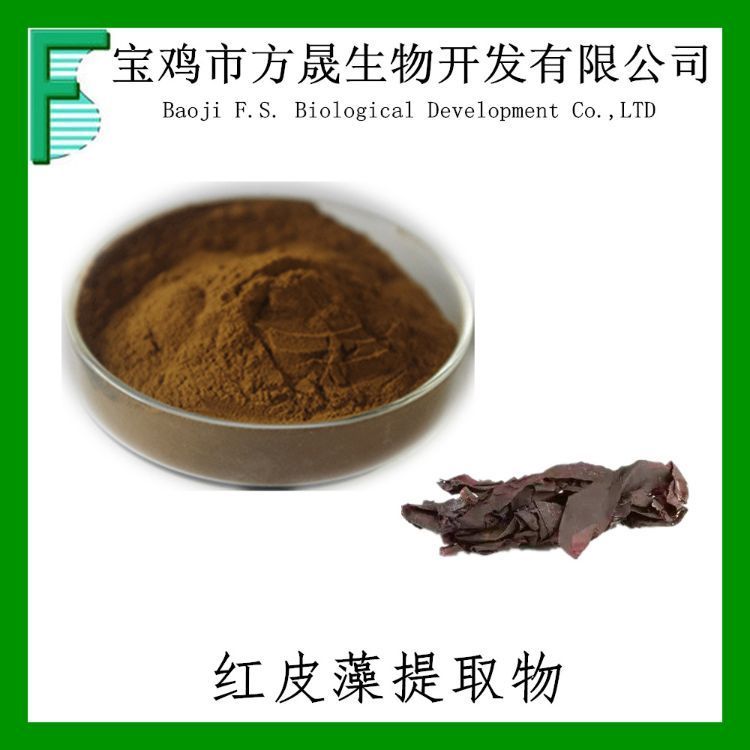 红皮藻提取物 红皮藻粉 10-1 掌状红藻粉提取物 可商检