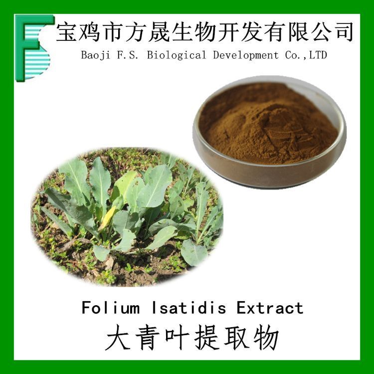 大青叶提取物 大青叶粉10-1 板蓝根叶提取物 全水溶 可商检
