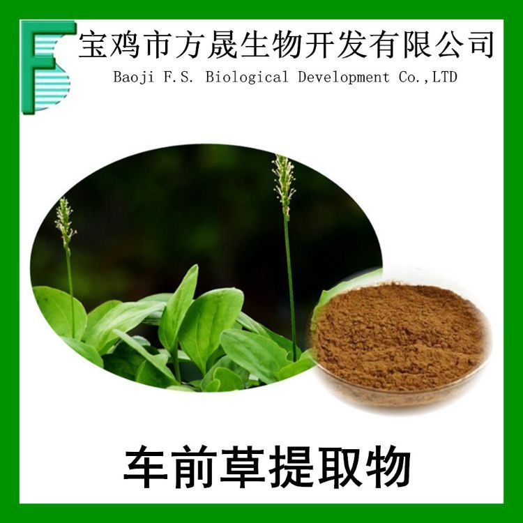 车前草提取物 10-1 车前草/猪殃殃提取物 全水溶浸膏粉 可商检