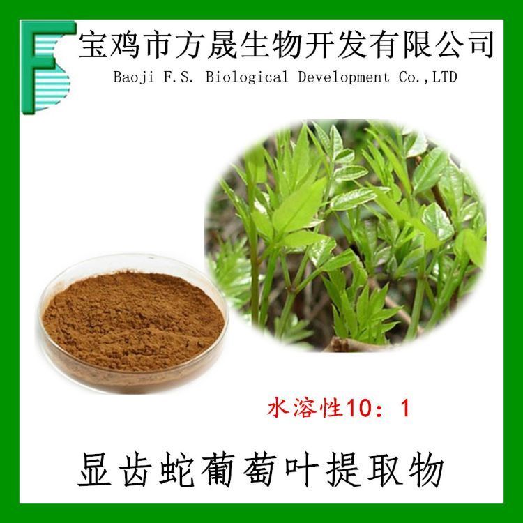 显齿蛇葡萄叶提取物 10-1 新资源食品原料 全水溶 可商检