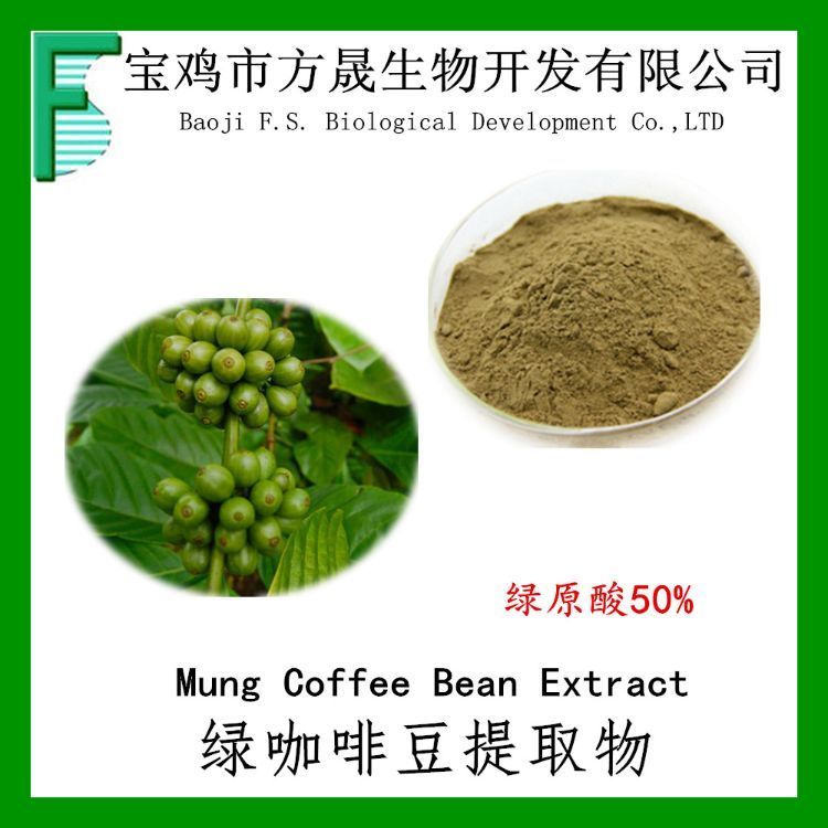 咖啡豆绿原酸50% 绿咖啡豆提取物 Chlorogenic acid CGA