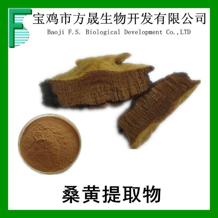 桑黄提取物 桑黄多糖 50% 浸膏粉 浓缩汁粉 可商检