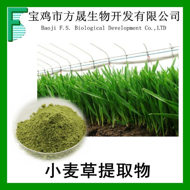 小麦苗提取物 10:1 麦苗速溶粉 浸膏粉 固体饮料 已备案