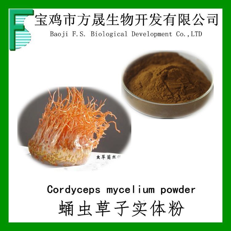 虫草子实体多糖 蛹虫草子实体提取物 虫草多糖