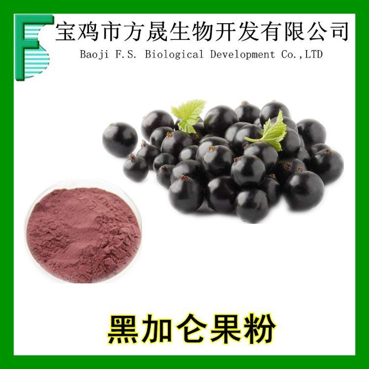 黑加仑果粉 花青素 速溶黑加仑粉 黑醋栗 果汁粉 可商检
