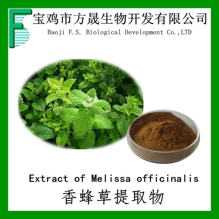 柠檬香蜂草提取物 蜜蜂花提取物10-1 出口可商检