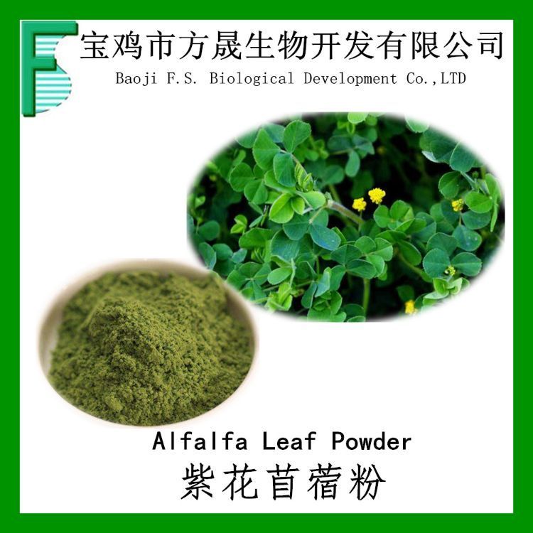 紫花苜蓿粉 速溶紫花苜蓿皂苷粉 植物萃取 全水溶