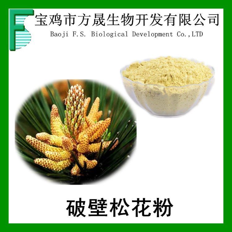 松花粉 破壁松花粉 99%含量 Pine pollen