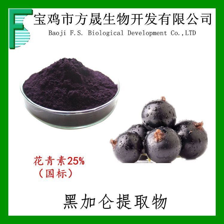 黑加仑提取物花青素25% 欧标 黑加仑提取物 现货
