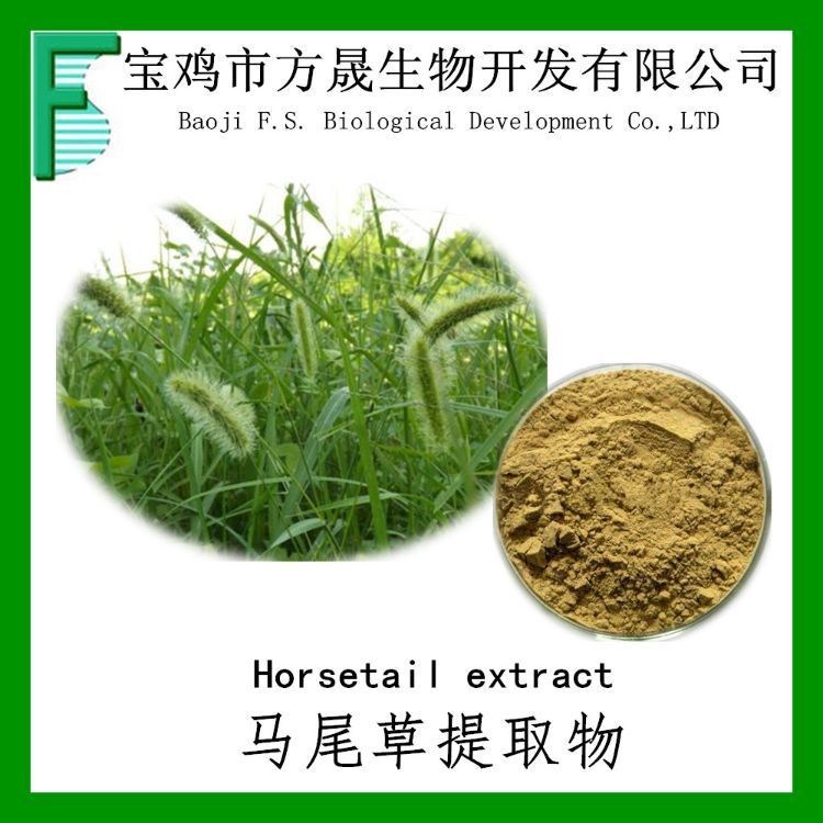 马尾草提取物 10-1 马尾草提取粉 浸膏粉 全水溶性