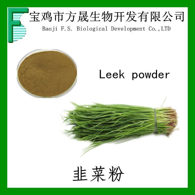 韭菜提取物 韭菜提取物10-1 厂家包邮 起阳草浓缩汁粉 速溶粉