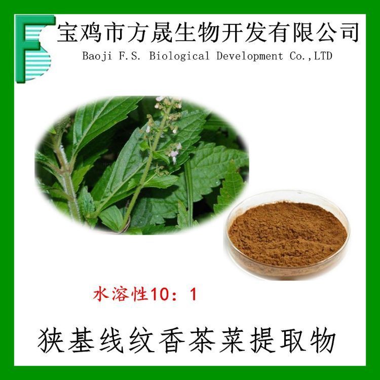 狭基线纹香茶菜提取物10-1 纹香茶菜提取粉 全水溶