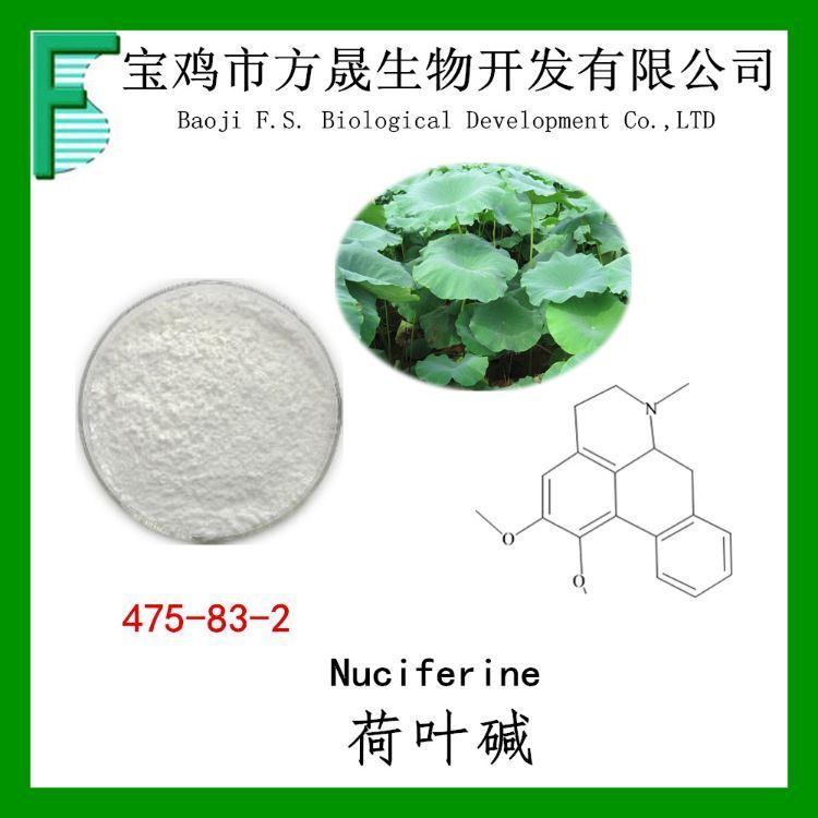 荷叶碱98% 荷叶提取物 Nuciferin 生物碱 475-83-2
