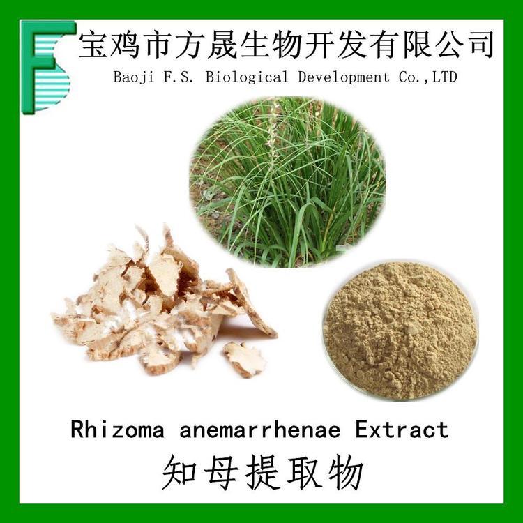 知母提取物 知母皂甙2% Timosaponin 可做商检