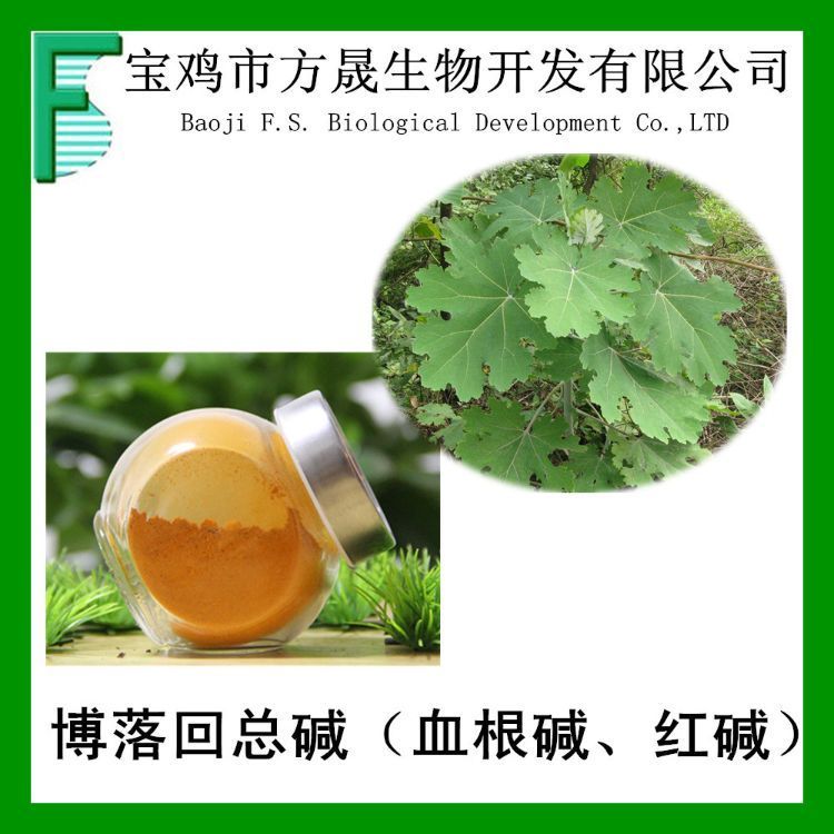白屈菜红碱20% 博落回总碱60% 博落回提取物 4316-15-9 血根碱40%