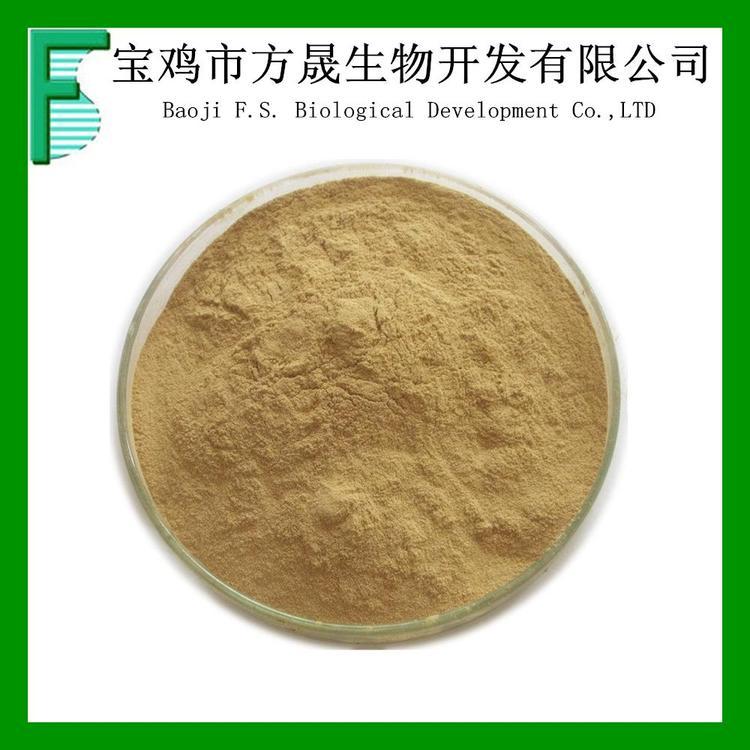 辣木籽提取物 10-1辣木种籽提取粉 Moringa seed extract