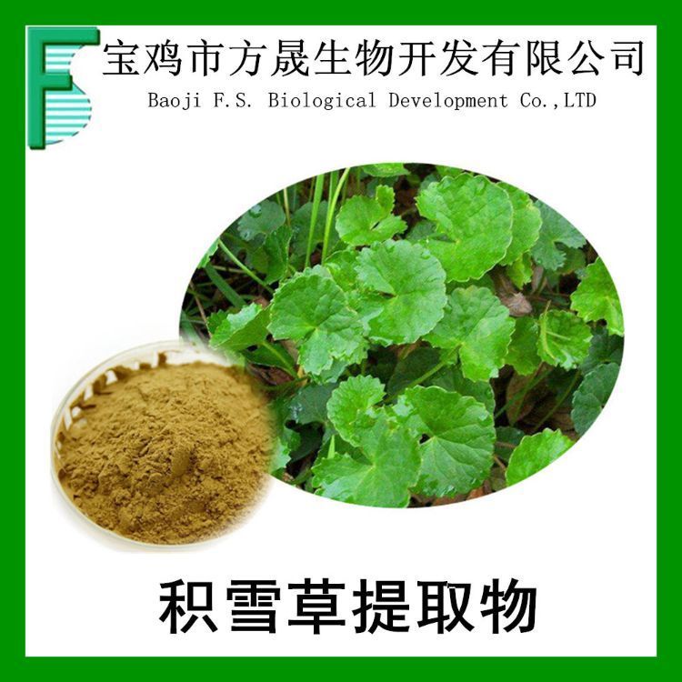 积雪草提取物 10-1 积雪草甙提取粉 羟基草甙 全水溶