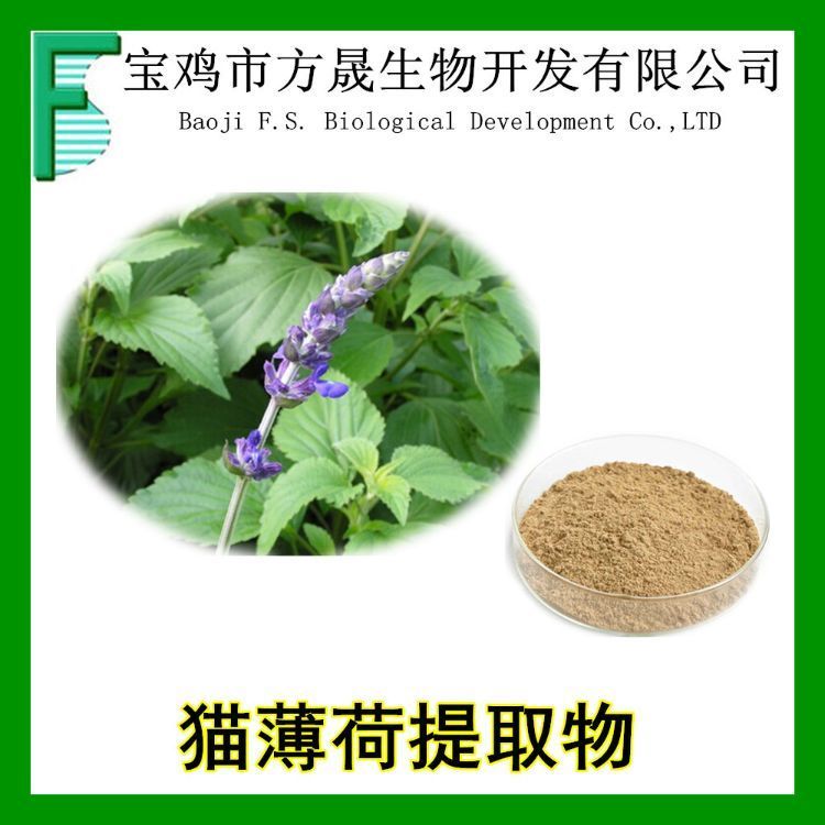猫薄荷提取物 荆芥提取物10-1规格 植物浸膏粉 可商检