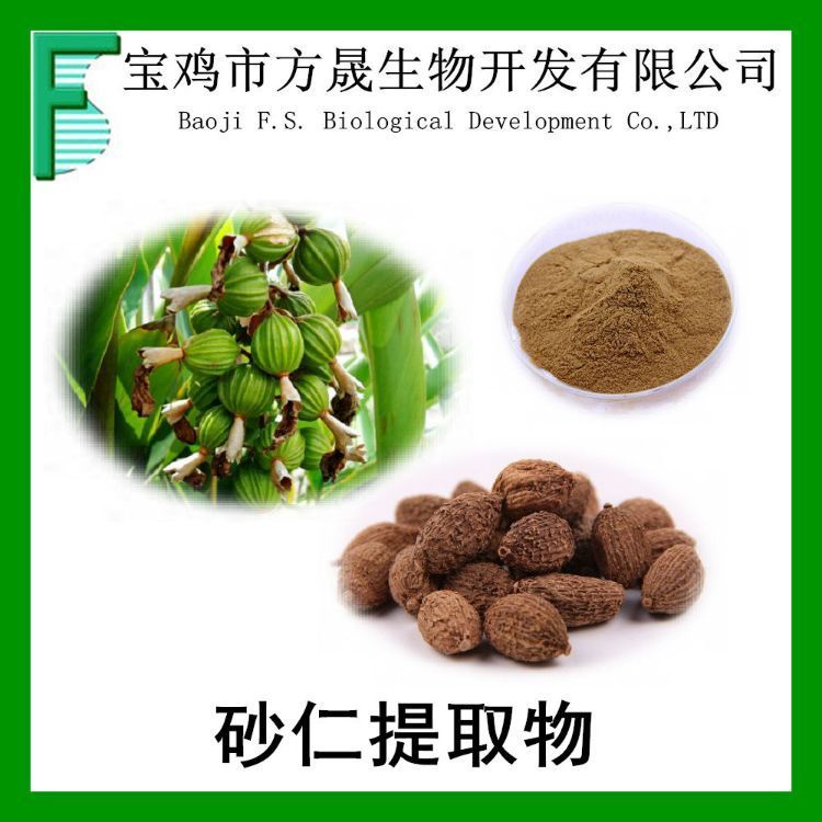 砂仁提取物10：1 阳春砂提取物 可免费商检 浸膏粉