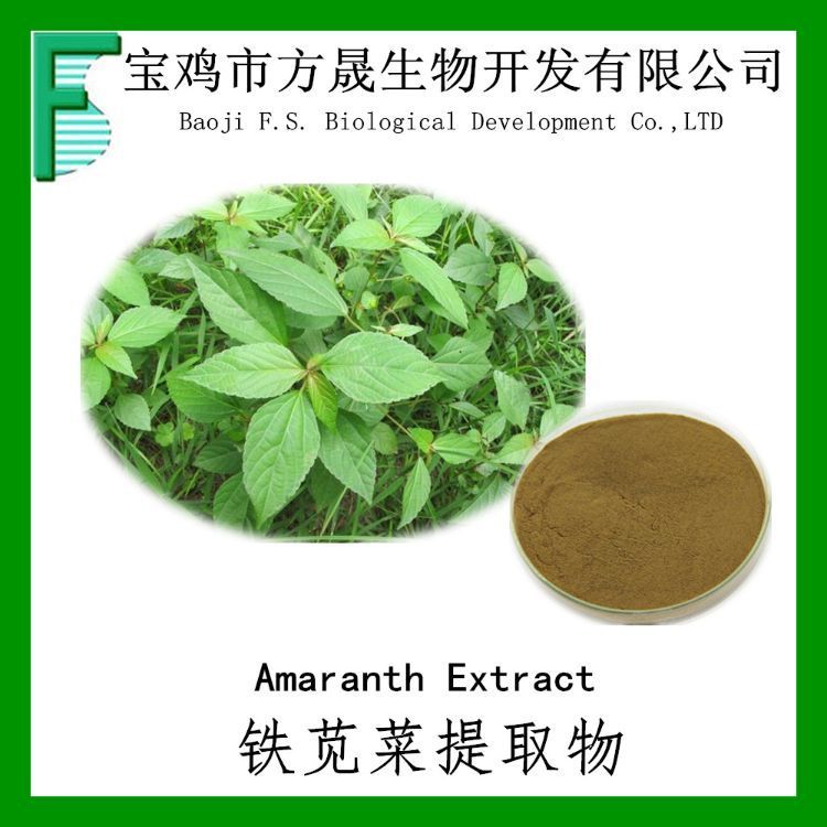 铁苋菜提取物10:1 20:1 铁苋菜速溶粉 浸膏粉 可商检