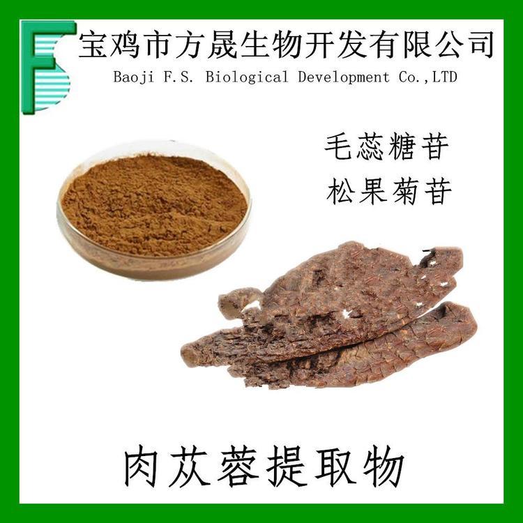 肉苁蓉提取物 管花肉苁蓉粉 10-1 现货包邮 大芸浸膏粉