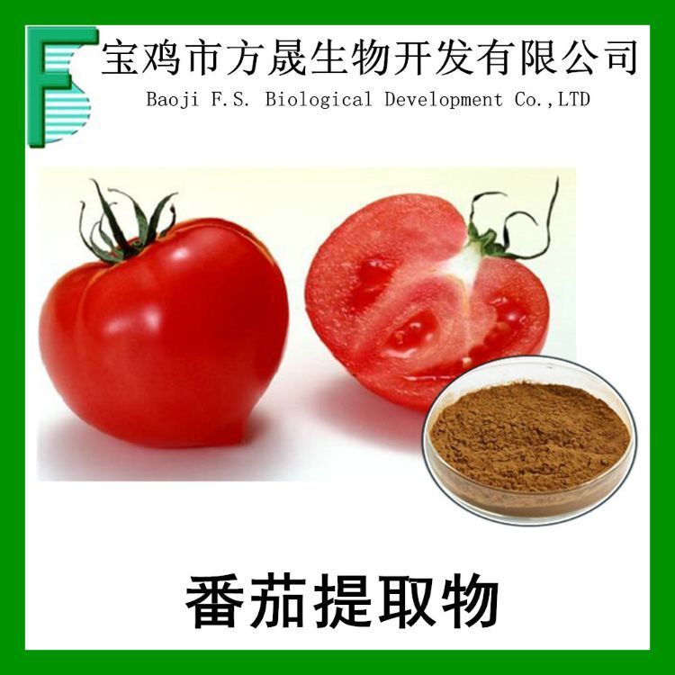 番茄粉 番茄提取物10-1 喷雾干燥 tomato extract