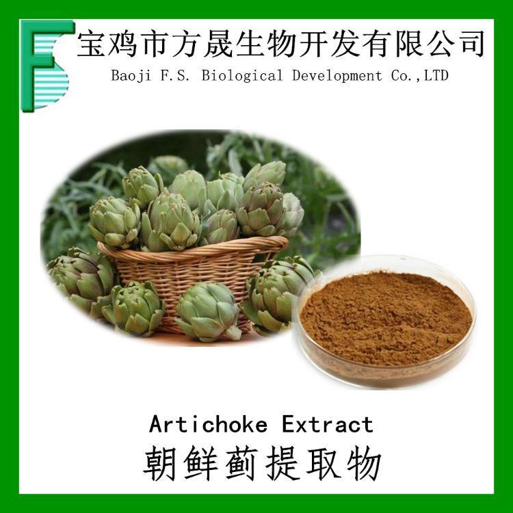 朝鲜蓟提取物 10-1 洋蓟 朝鲜蓟浸膏粉 可商检 全水溶