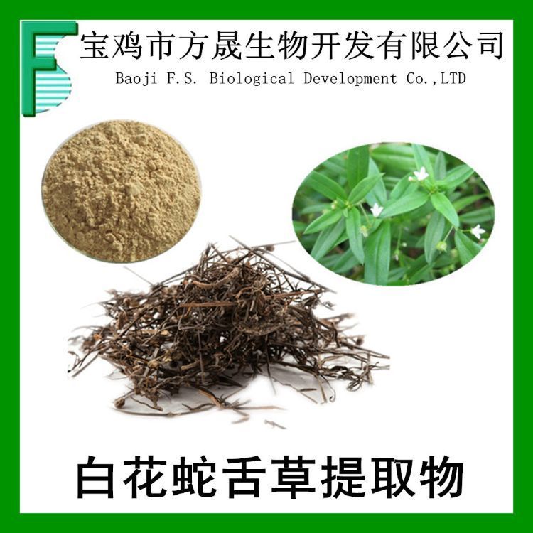 白花蛇舌草浸膏粉 百花蛇舌草提取物10-1 Hedyotis diffusa