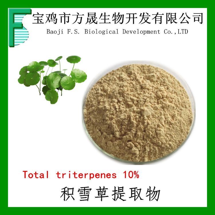 积雪草提取物 积雪草总甙/苷10% Gotu Kola P-E 10%-80%