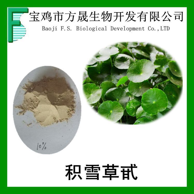 积雪草提取物 积雪草苷10% 16830-15-2 积雪草总甙 可商检