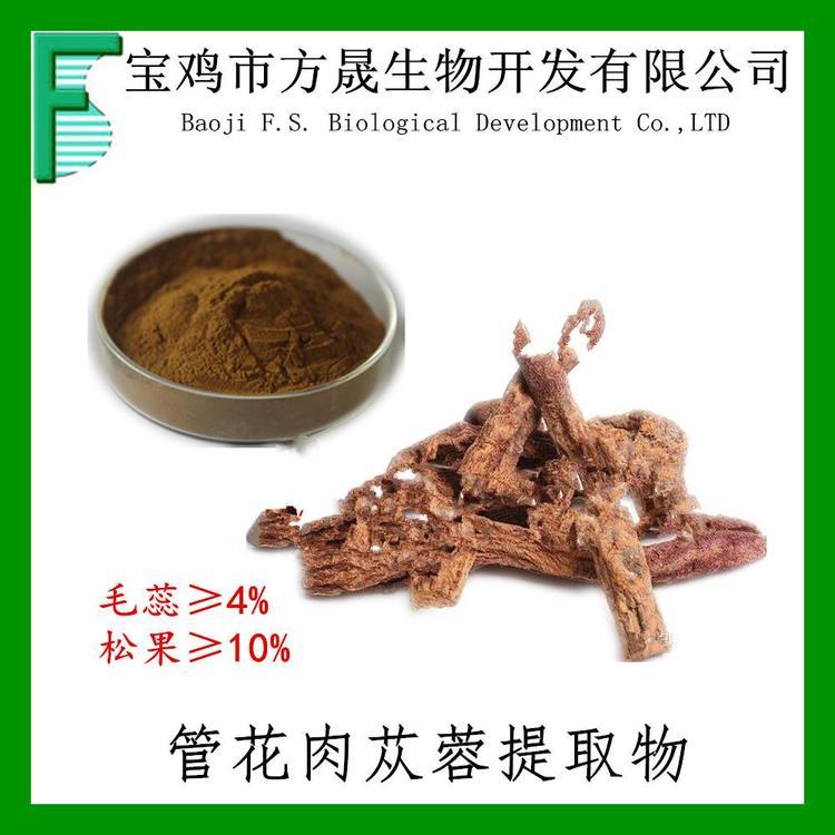 管花肉苁蓉提取物毛蕊糖苷4%松果菊苷10% 肉苁蓉粉