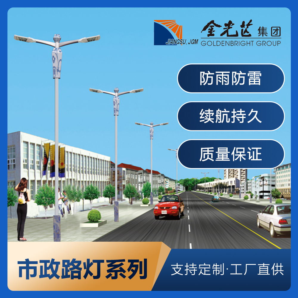 LED市电路灯单双臂6米7米8米大功率超亮30W60W道路照明灯厂家