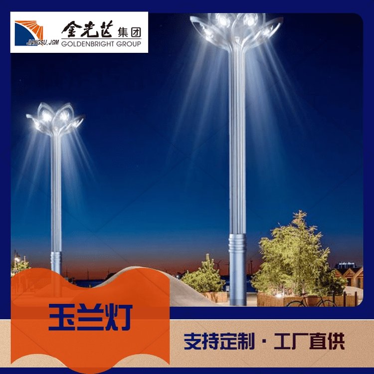 定制8米户外LED玉兰灯 中华灯 亮化工程道路广场组合灯 厂家发货
