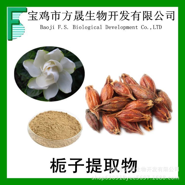 栀子提取物 15%栀子苷 栀子甙 另有10~80% 可商检