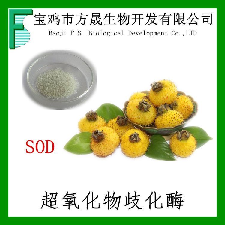 超氧化物歧化酶 SOD10000fu/g 刺梨提取物 刺梨SOD VC5%