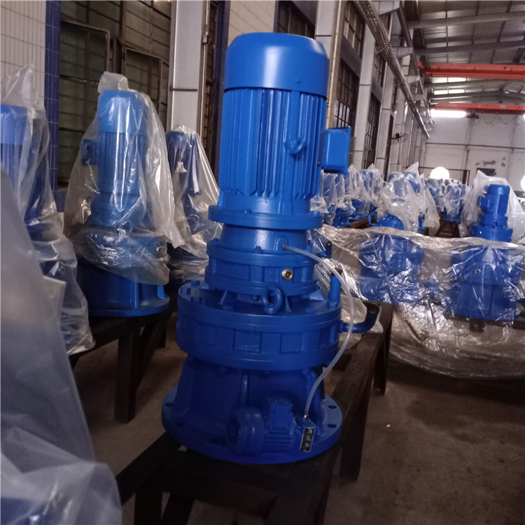 BLEY2215-289-0.75KW立式摆线针轮减速机 双级减速器 可定制