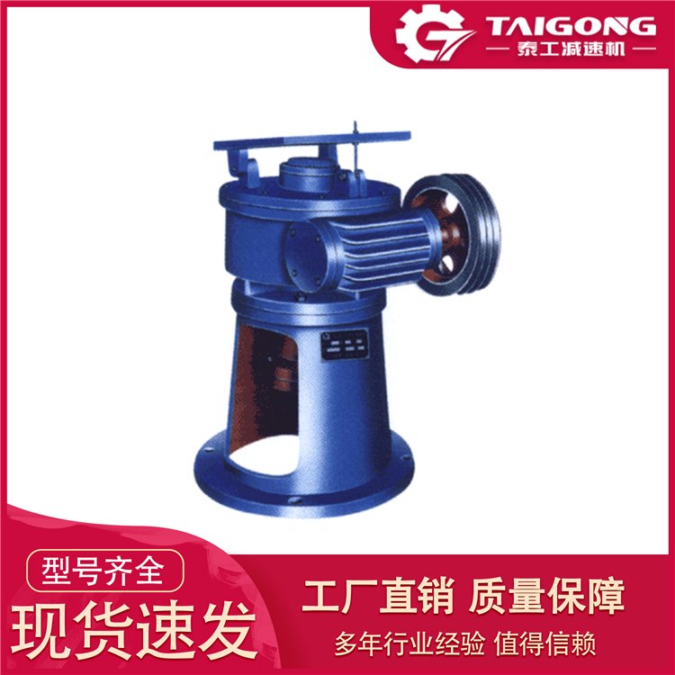 泰工 双级 立式 蜗轮减速机器 M10圆弧齿蜗杆搅拌减速机