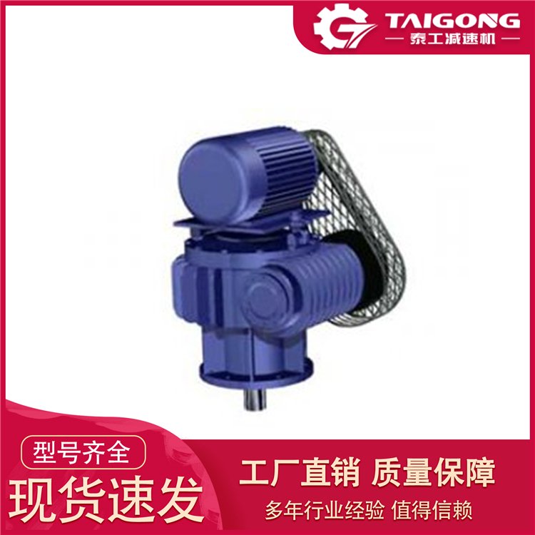 W型圆弧齿蜗杆搅拌减速机 泰工W250-550蜗齿轮减速机器 闪电速供