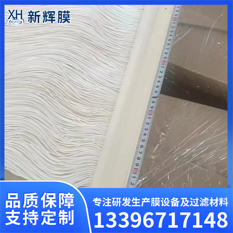 新辉MBR中空纤维膜装置 25M2定制 0.1微米过滤