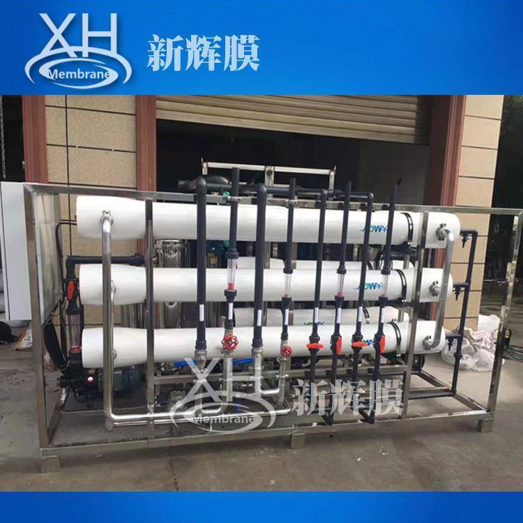 新辉膜 6吨反渗透设备 RO纯水设备 纯水 EDI设备