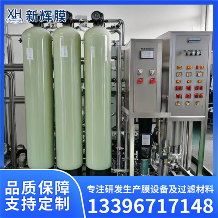 纯水生产设备线 直饮水超纯水生产机 噪音低运行安静 新辉膜