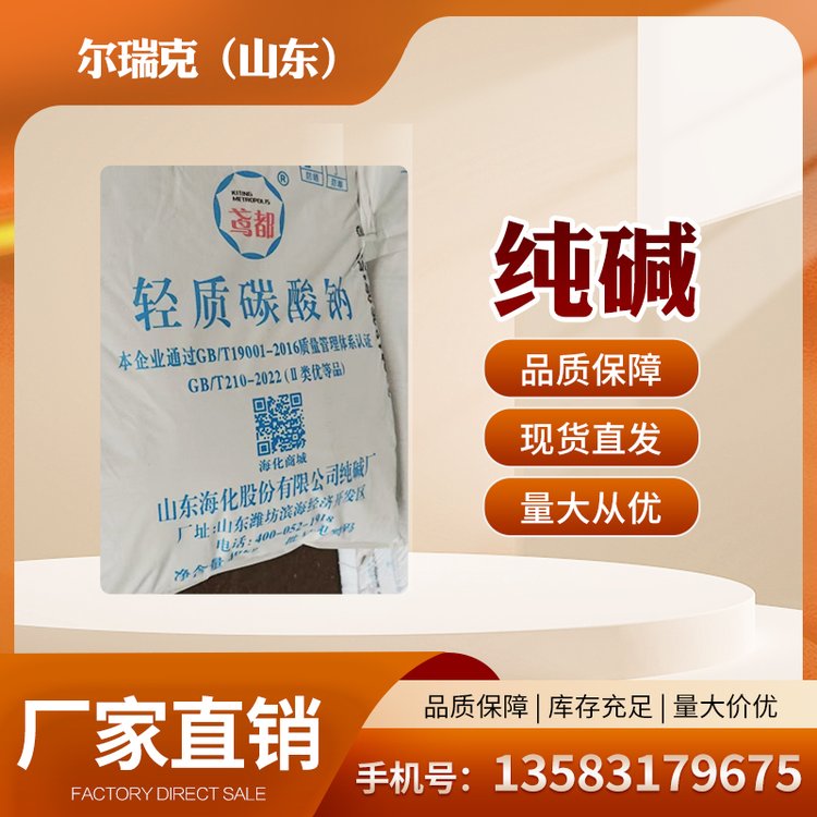 尔瑞克工业级纯碱 水处理洗涤助剂厂家 轻质碳酸钠 99%含量